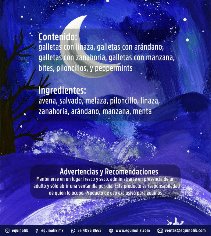 Calendario De Adviento (Navidad)