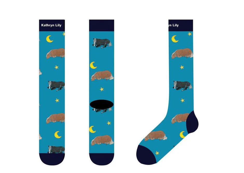 Dreamer's Socks (Adults one size)