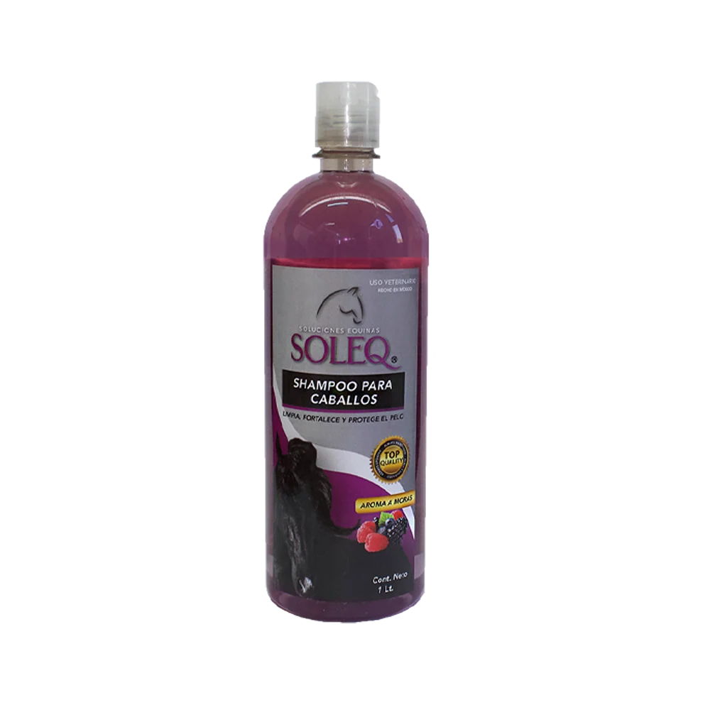 SOLEQ Shampoo