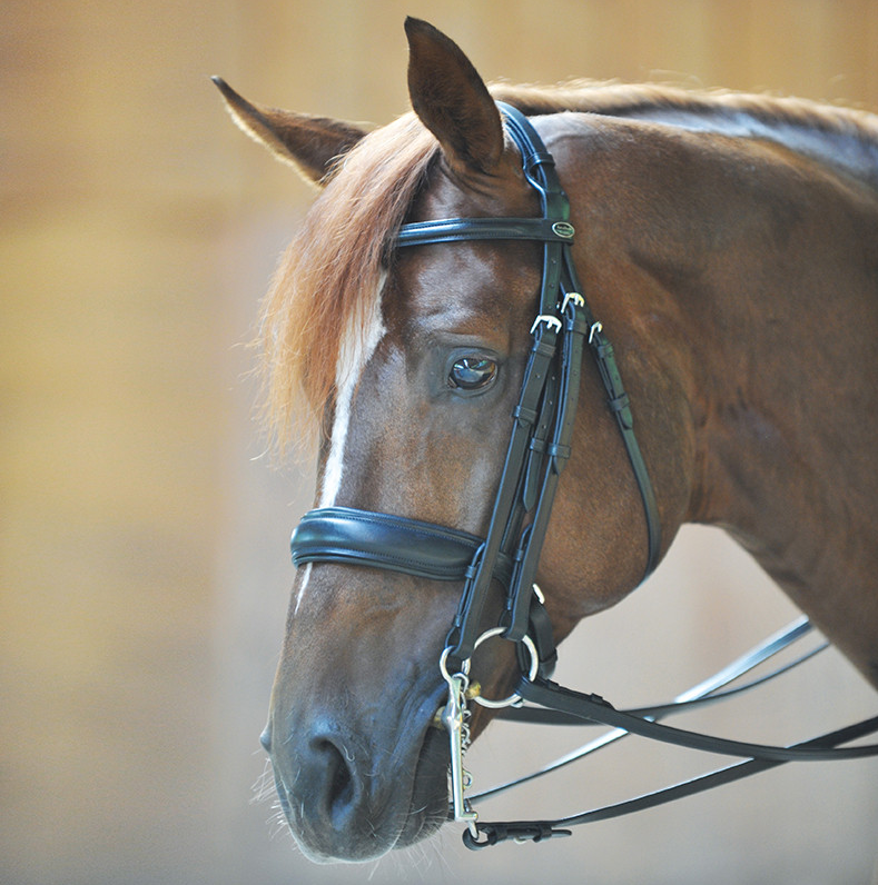 Double Bridle Kavalkade Dacira