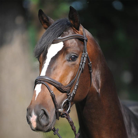 Kavalkade Ivy Combined English Bridle