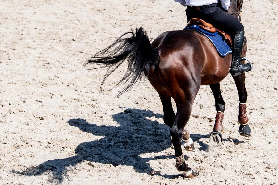 winderen stirrups