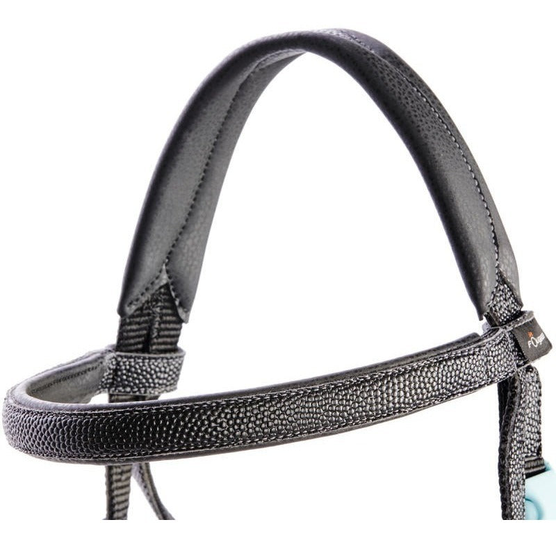 FD riding bridle for pony